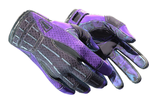 Sport Gloves | Pandora's Box